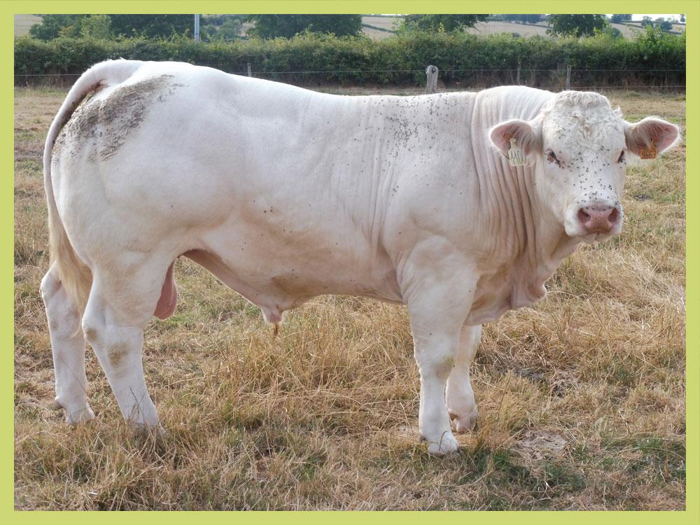 18 mois à vendre Image