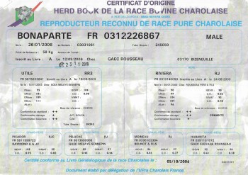Fiche_Bonaparte