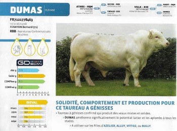 Fiche_Dumas