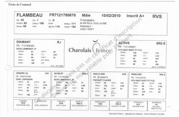 Fiche_Flambeau
