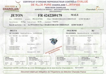 Fiche_Jeton