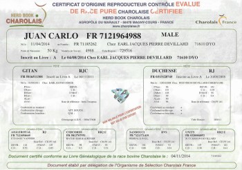 Fiche_Juan_Carlo