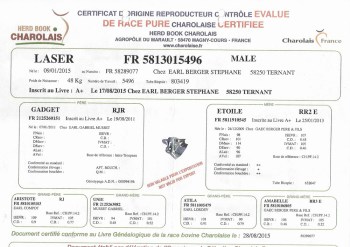 Fiche_Laser